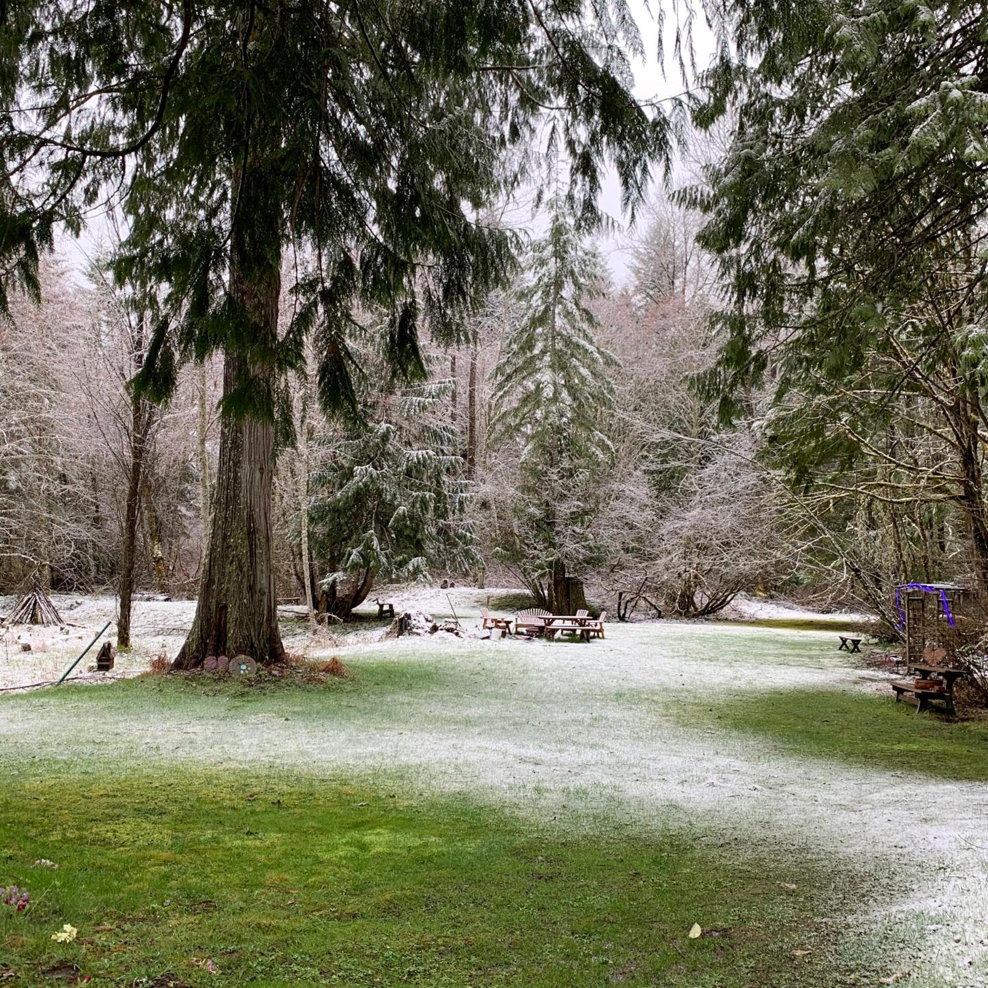 Mountain Meadows Inn & Chalet Suites Ashford Esterno foto